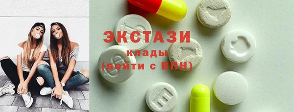стаф Дмитров