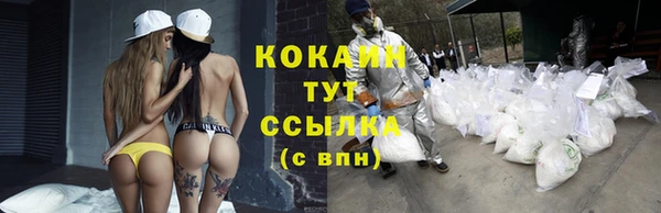 СК Гусев