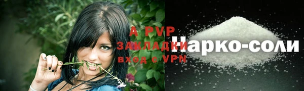 стаф Гусь-Хрустальный