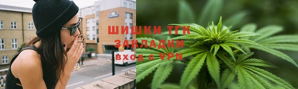 СК Гусев