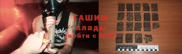 стаф Дмитров