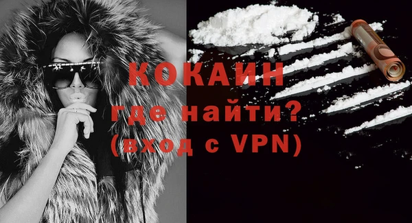 стаф Гусь-Хрустальный