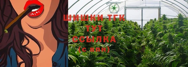 СК Гусев
