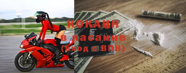 стаф Дмитров